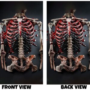 Front and back view of a dark design featuring a detailed skeleton ribcage with red blood accents, set against a black background.