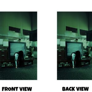 Front & Back view an image of a person bending over emerging from the front of a large screen in a green-tinted room. Is is an image from the film The Ring